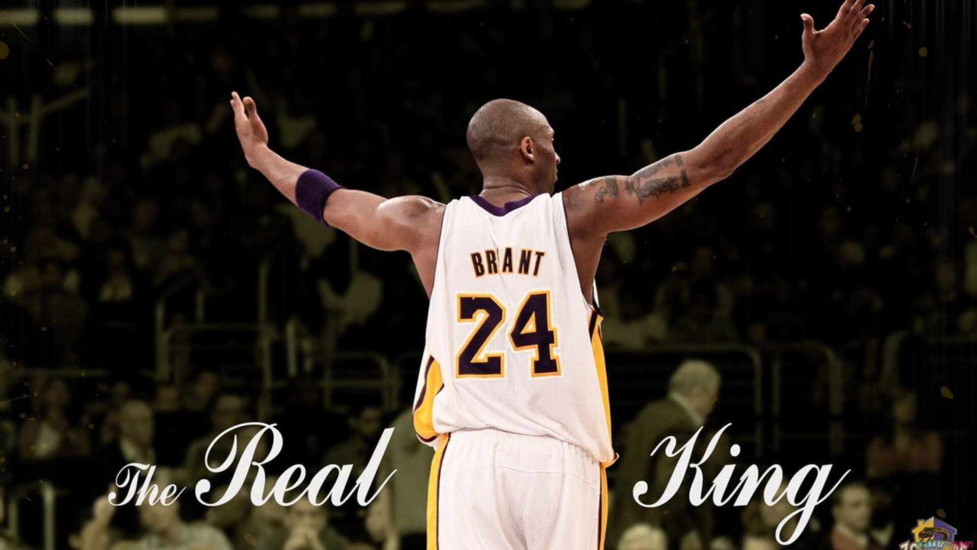 “萨尔·巴赫与南非羚羊队：一个不可忽视的联盟”