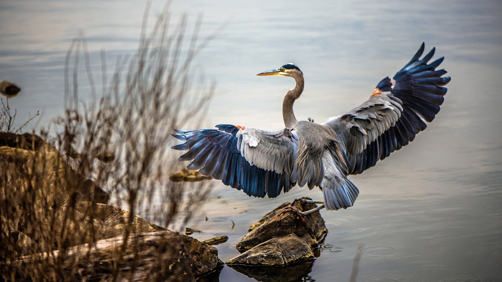 爱游戏官网-失误频繁：上海队多达20次失误，错失最后反超机会！，上海队比赛视频