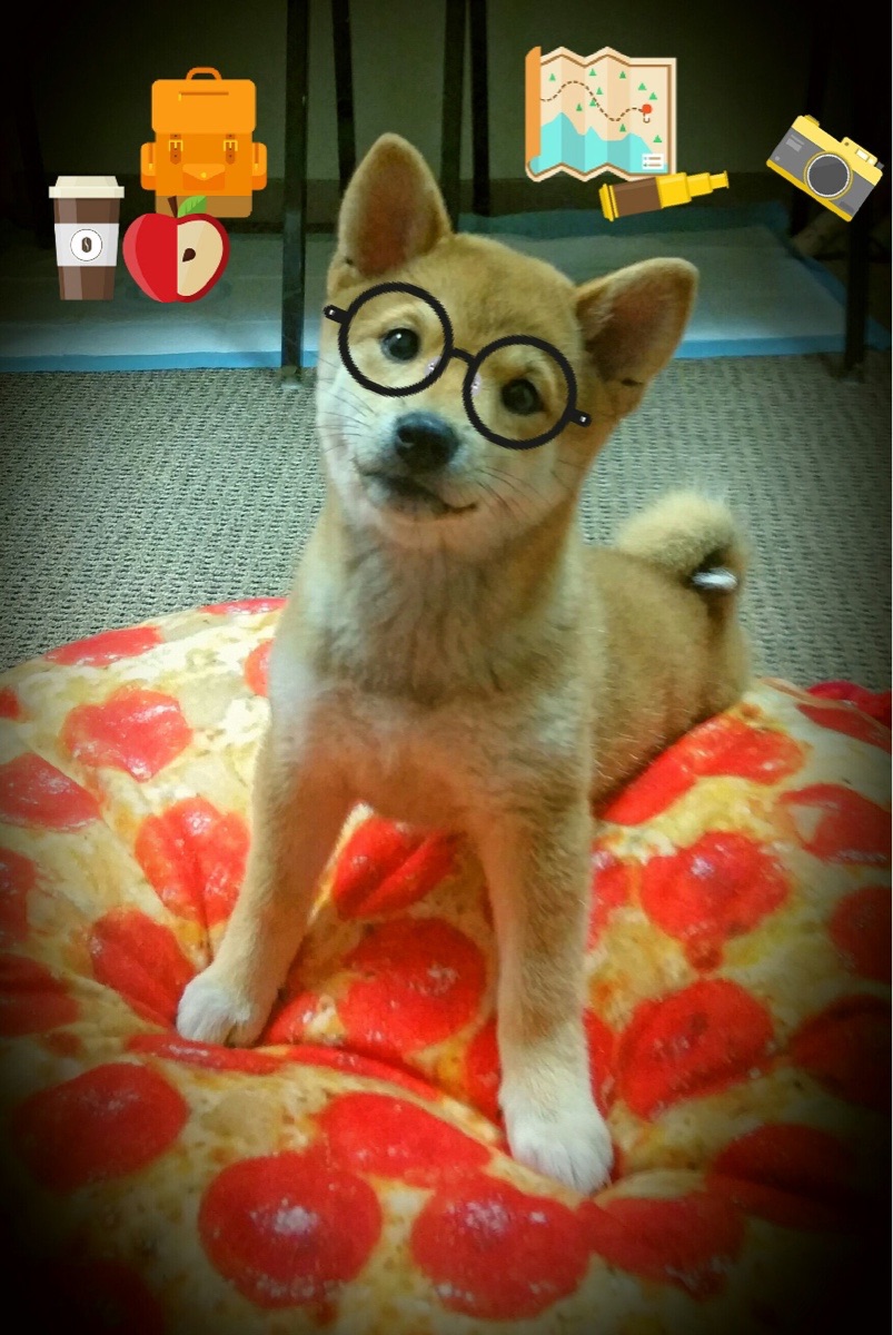 爱游戏体育-女足新赛季目标明确，冲击奥运资格，女足出征奥运预选赛